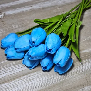 Gumi hab tulipán (10 szál)