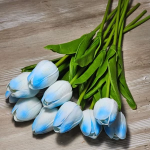 Gumi hab tulipán (10 szál)
