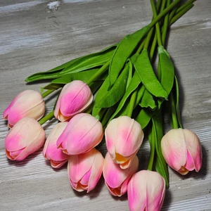 Gumi hab tulipán (10 szál)