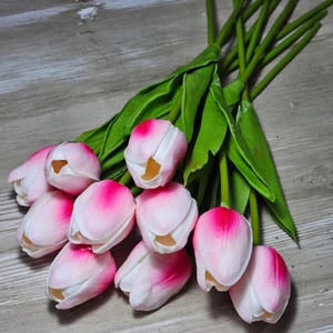 Gumi hab tulipán (10 szál)