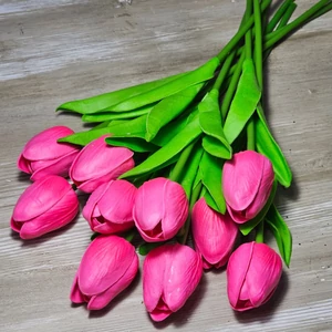Gumi hab tulipán (10 szál)