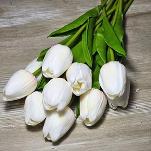 Gumi hab tulipán (10 szál)