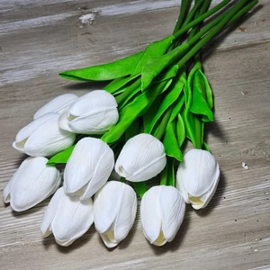 Gumi hab tulipán (10 szál)