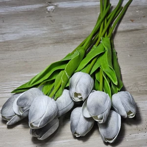Gumi hab tulipán (10 szál)