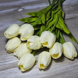 Gumi hab tulipán (10 szál)