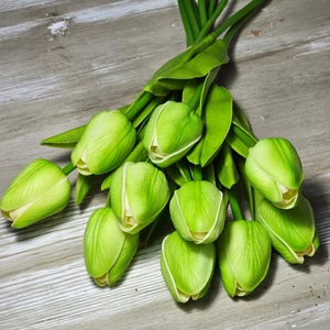 Gumi hab tulipán (10 szál)