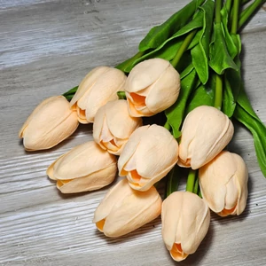 Gumi hab tulipán (10 szál)