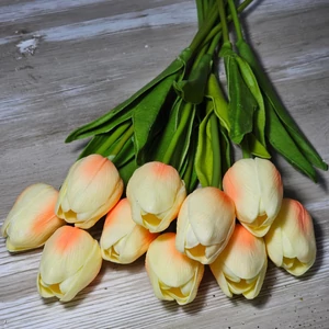 Gumi hab tulipán (10 szál)