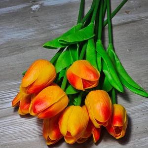 Gumi hab tulipán (10 szál)