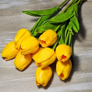 Gumi hab tulipán (10 szál)