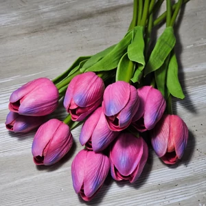 Gumi hab tulipán (10 szál)