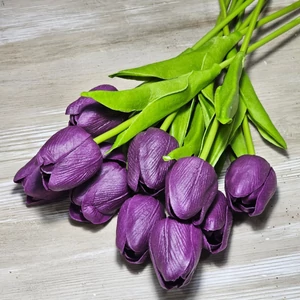 Gumi hab tulipán (10 szál)