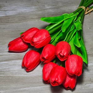 Gumi hab tulipán (10 szál)