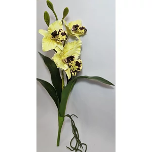Szálas orchidea levéllel és gyökérrel