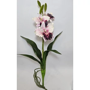 Szálas orchidea levéllel és gyökérrel