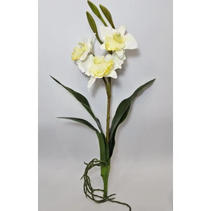 Szálas orchidea levéllel és gyökérrel