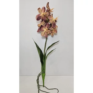 Szálas orchidea levéllel és gyökérrel