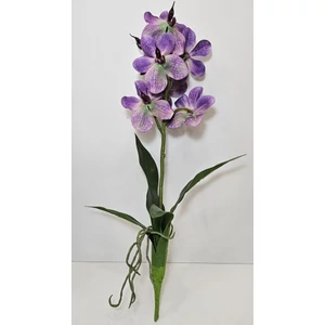 Szálas orchidea levéllel és gyökérrel
