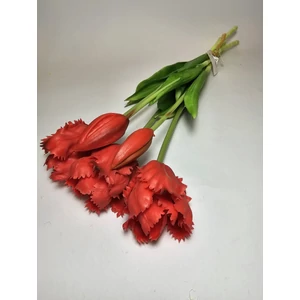 Papagáj tulipán csokor