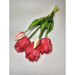 Papagáj tulipán csokor