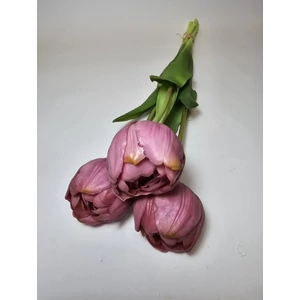 Dupla szírmú tulipán