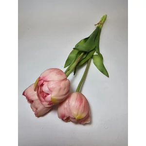Dupla szírmú tulipán